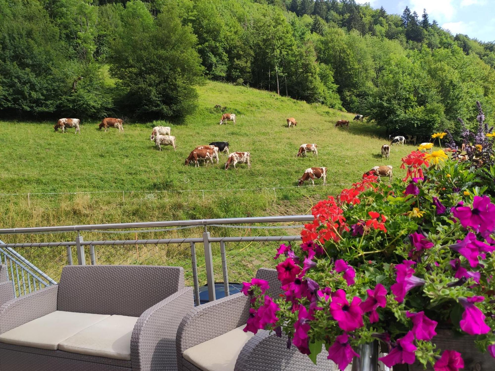 Les Chemins Du Leman Hotel Novel Exterior photo